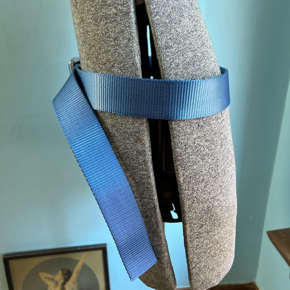 Patagonia Blue Webbing Hiking Belt with Multicolor Logo